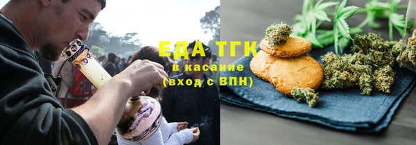 амф Ельня