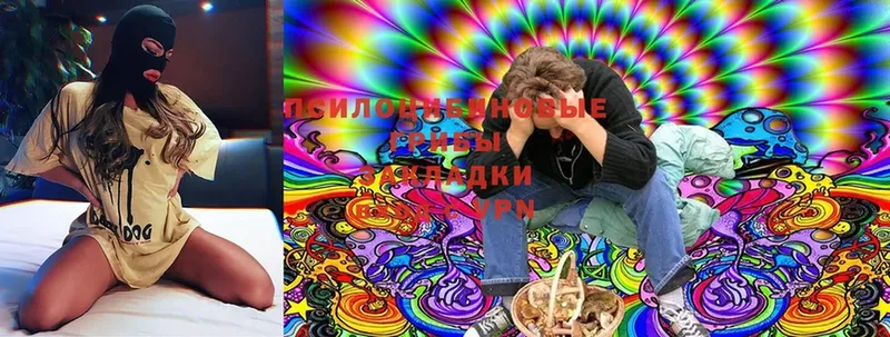 Галлюциногенные грибы Magic Shrooms  блэк спрут ссылки  Качканар 